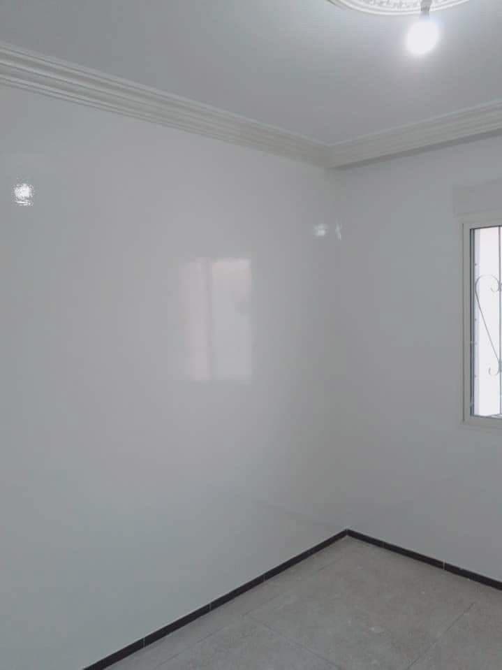 Fenomastic Emulsion Primer 3